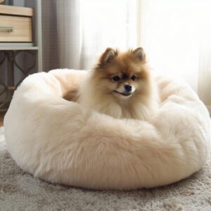 a nice clean dog bed with a happy pomeranian in it